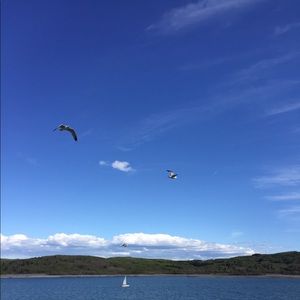 Meet your Posher, Zarpana